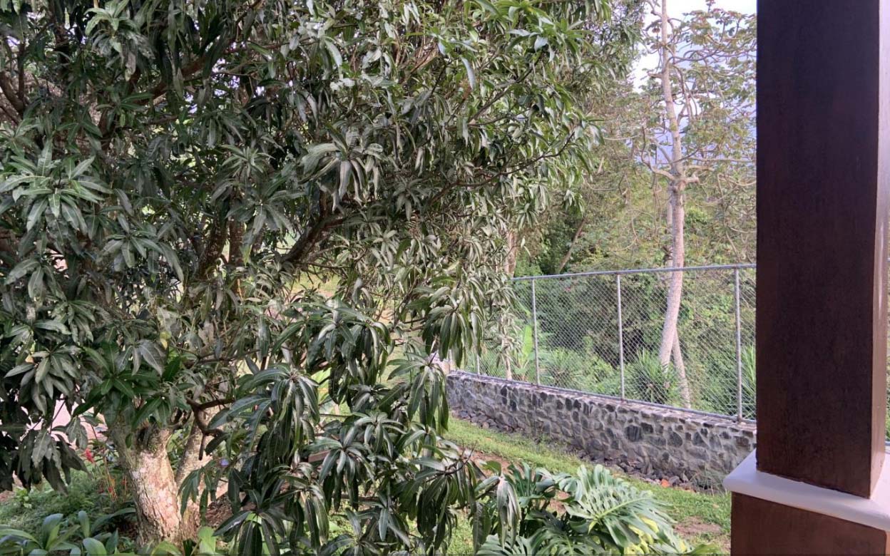 4 bed Single Family Homes For Sale in Atenas, Alajuela - thumb 15