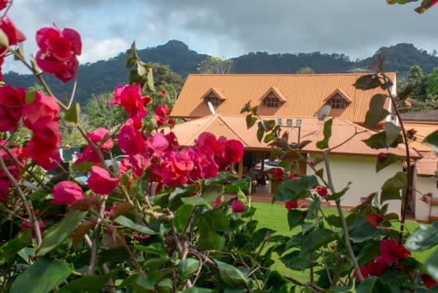 2 bed Single Family Homes For Sale in Atenas, Alajuela - thumb 9
