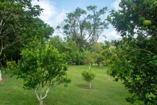 2 bed Single Family Homes For Sale in Atenas, Alajuela - thumb 8