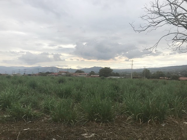 0 bed Land For Sale in Grecia, Alajuela - thumb 5