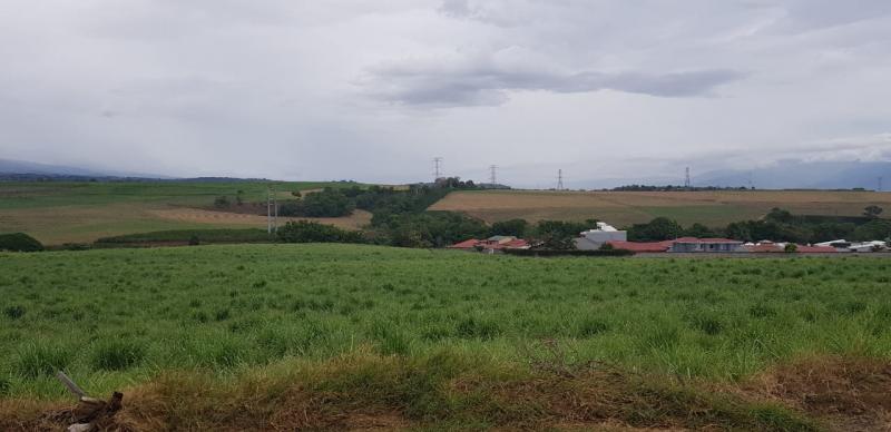 0 bed Land For Sale in Grecia, Alajuela - thumb 7