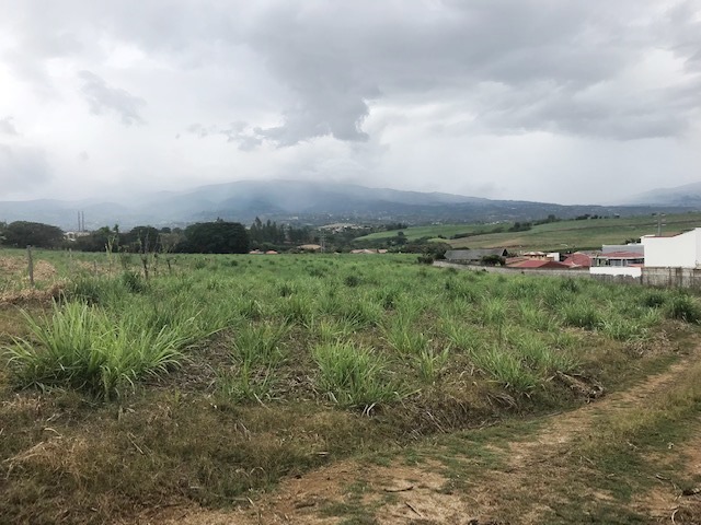 0 bed Land For Sale in Grecia, Alajuela - thumb 9