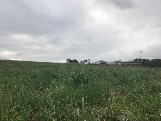 0 bed Land For Sale in Grecia, Alajuela - thumb 6