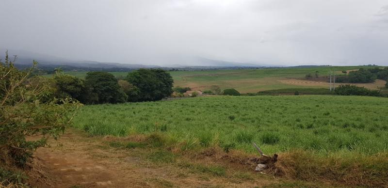 0 bed Land For Sale in Grecia, Alajuela - thumb 3