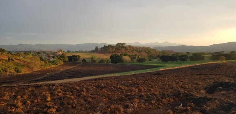 0 bed Land For Sale in Grecia, Alajuela - thumb 4