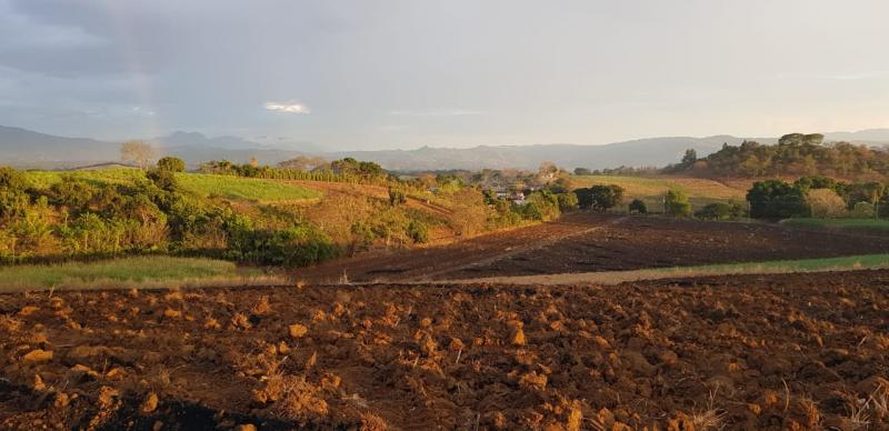 0 bed Land For Sale in Grecia, Alajuela - thumb 5