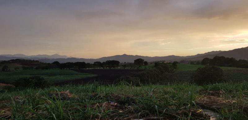 0 bed Land For Sale in Grecia, Alajuela - thumb 5