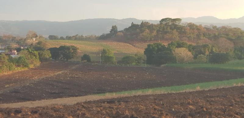 0 bed Land For Sale in Grecia, Alajuela - thumb 1