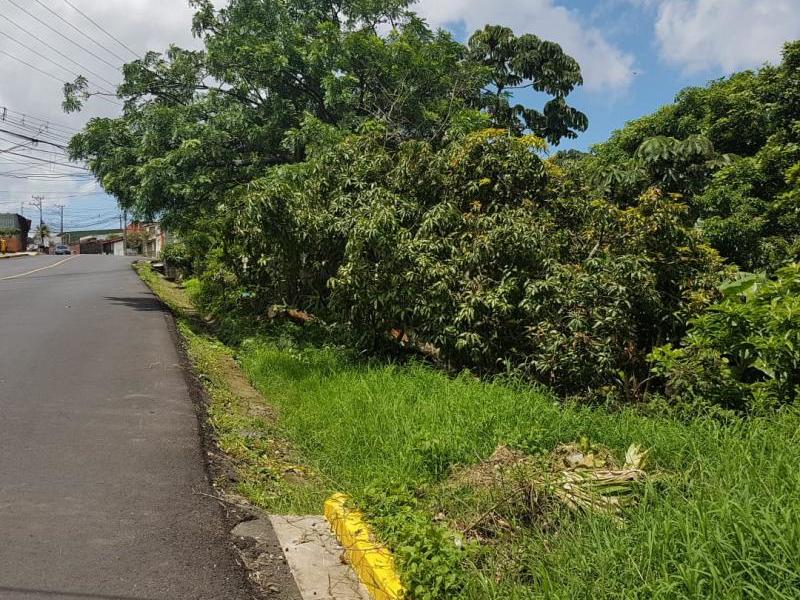 0 bed Land For Sale in Montes de Oca, San Jose - 1