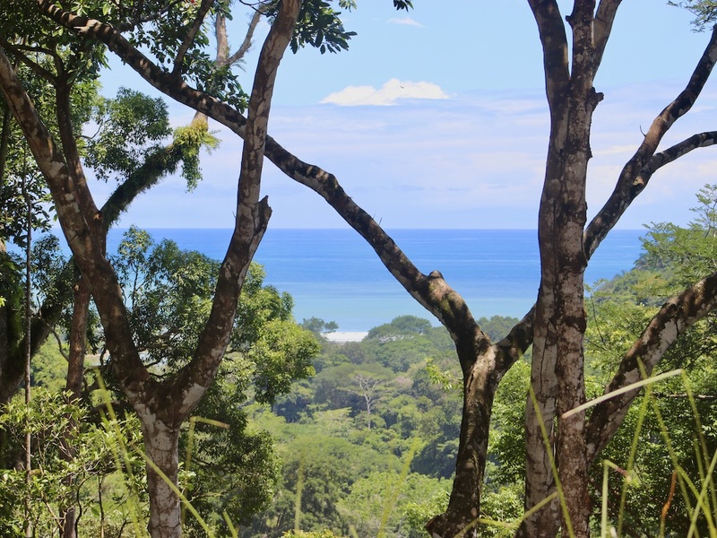 0 bed Land For Sale in Dominical, Puntarenas - 1