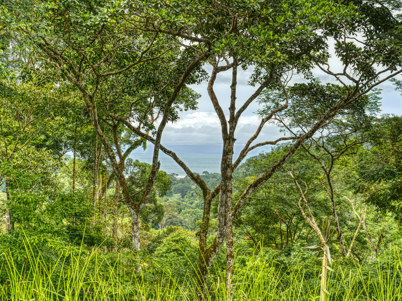 0 bed Land For Sale in Dominical, Puntarenas - 1