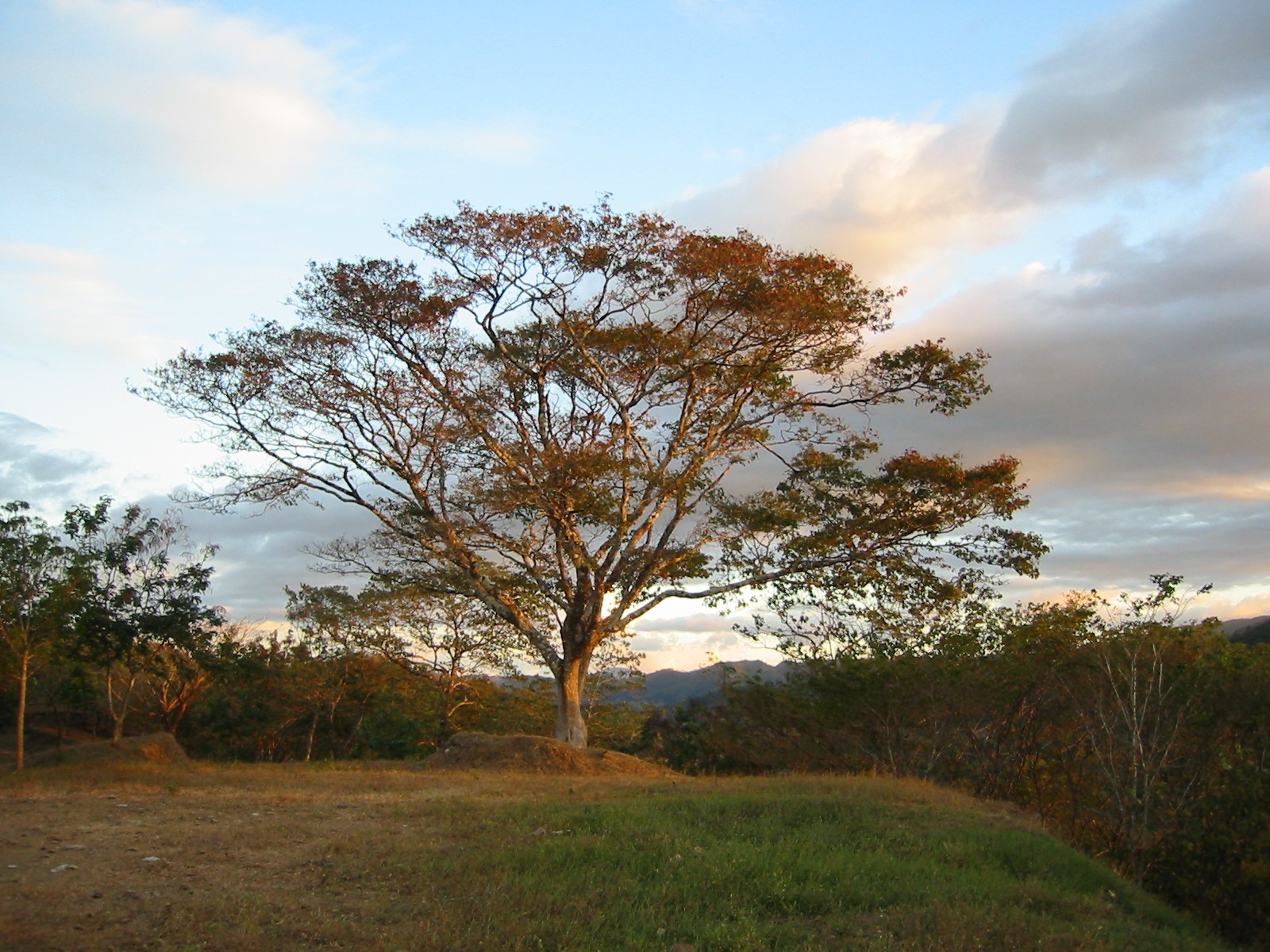 3 bed Land For Sale in Nicoya Peninsula, Guanacaste - thumb 21