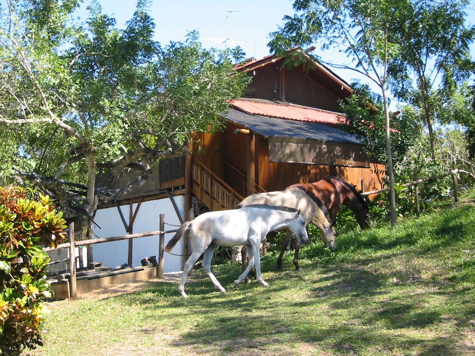 3 bed Land For Sale in Nicoya Peninsula, Guanacaste - thumb 1
