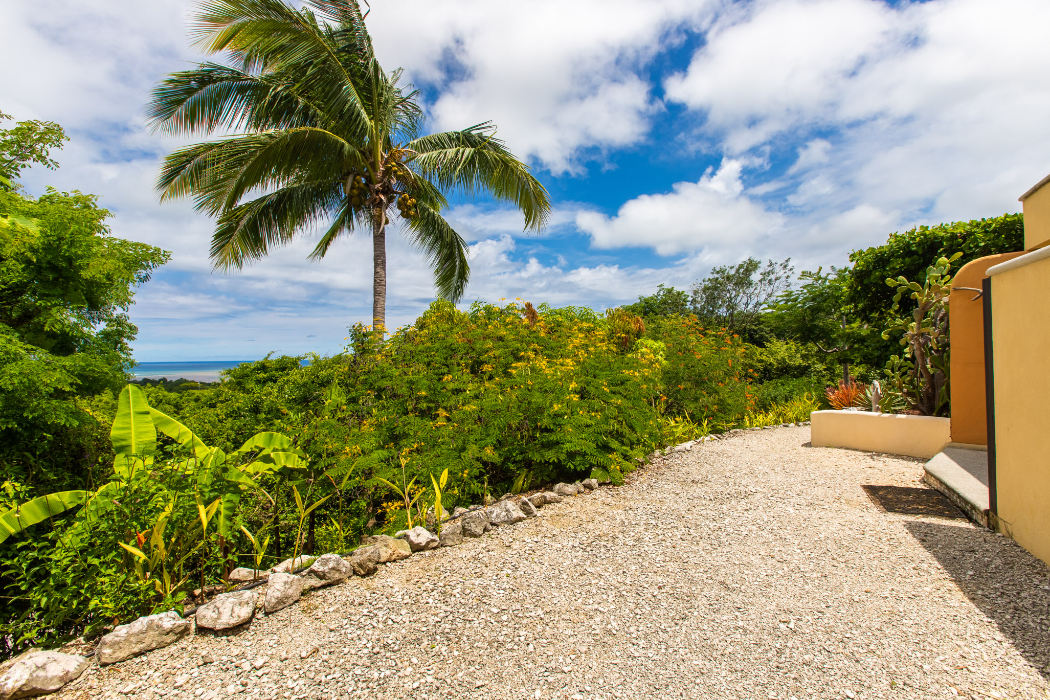 5 bed Single Family Homes For Sale in Nosara, Guanacaste - thumb 25