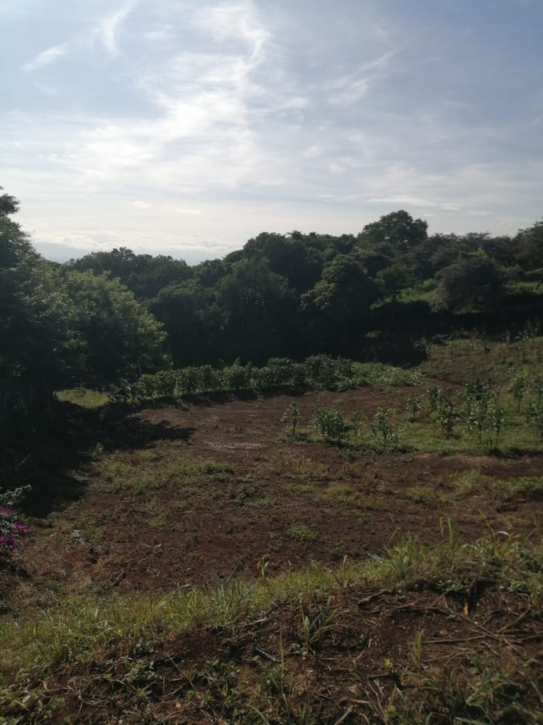 0 bed Land For Sale in Atenas, Alajuela - thumb 20