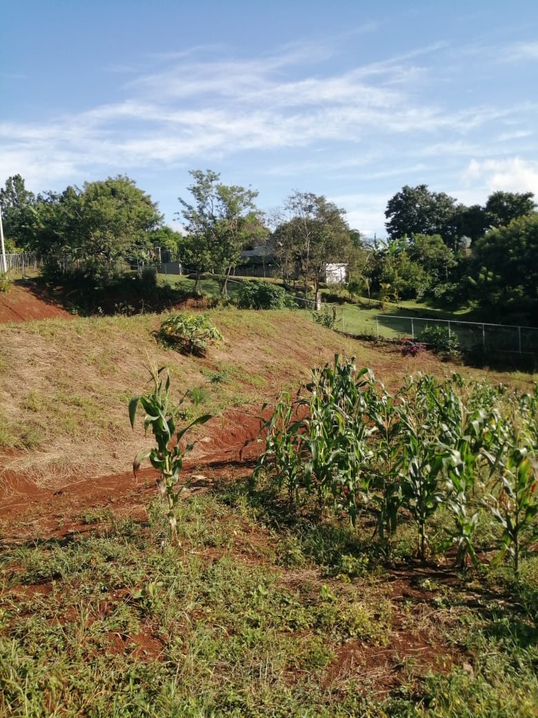 0 bed Land For Sale in Atenas, Alajuela - thumb 23