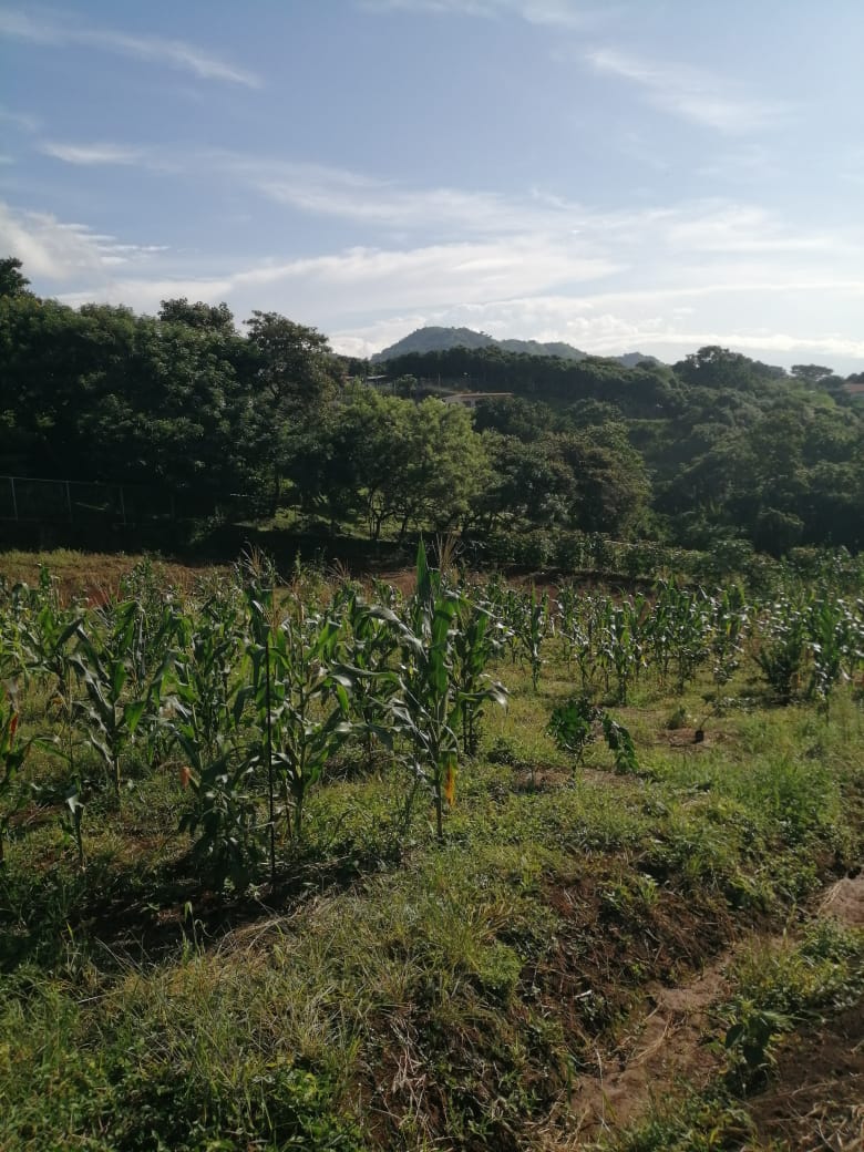 0 bed Land For Sale in Atenas, Alajuela - thumb 21