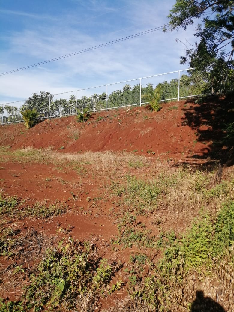 0 bed Land For Sale in Atenas, Alajuela - thumb 22