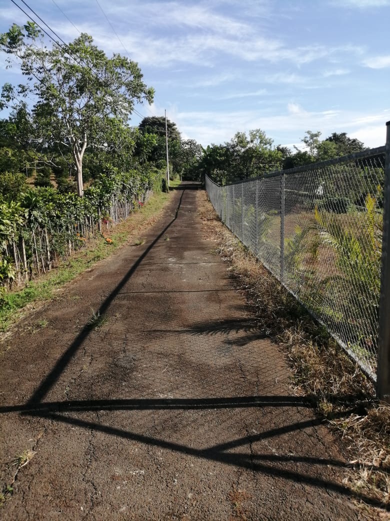 0 bed Land For Sale in Atenas, Alajuela - thumb 19