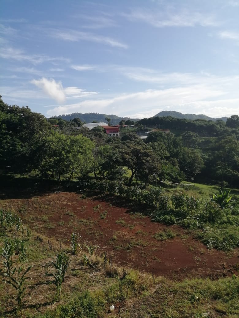 0 bed Land For Sale in Atenas, Alajuela - thumb 24