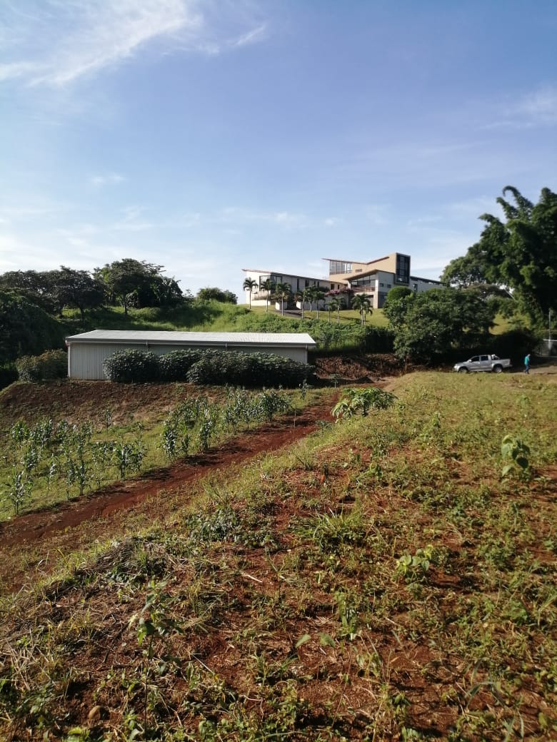 0 bed Land For Sale in Atenas, Alajuela - thumb 25