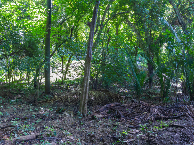 Land For Sale in Playa Guiones Costa Rica