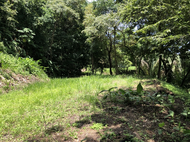 0 bed Land For Sale in Samara, Guanacaste - 1