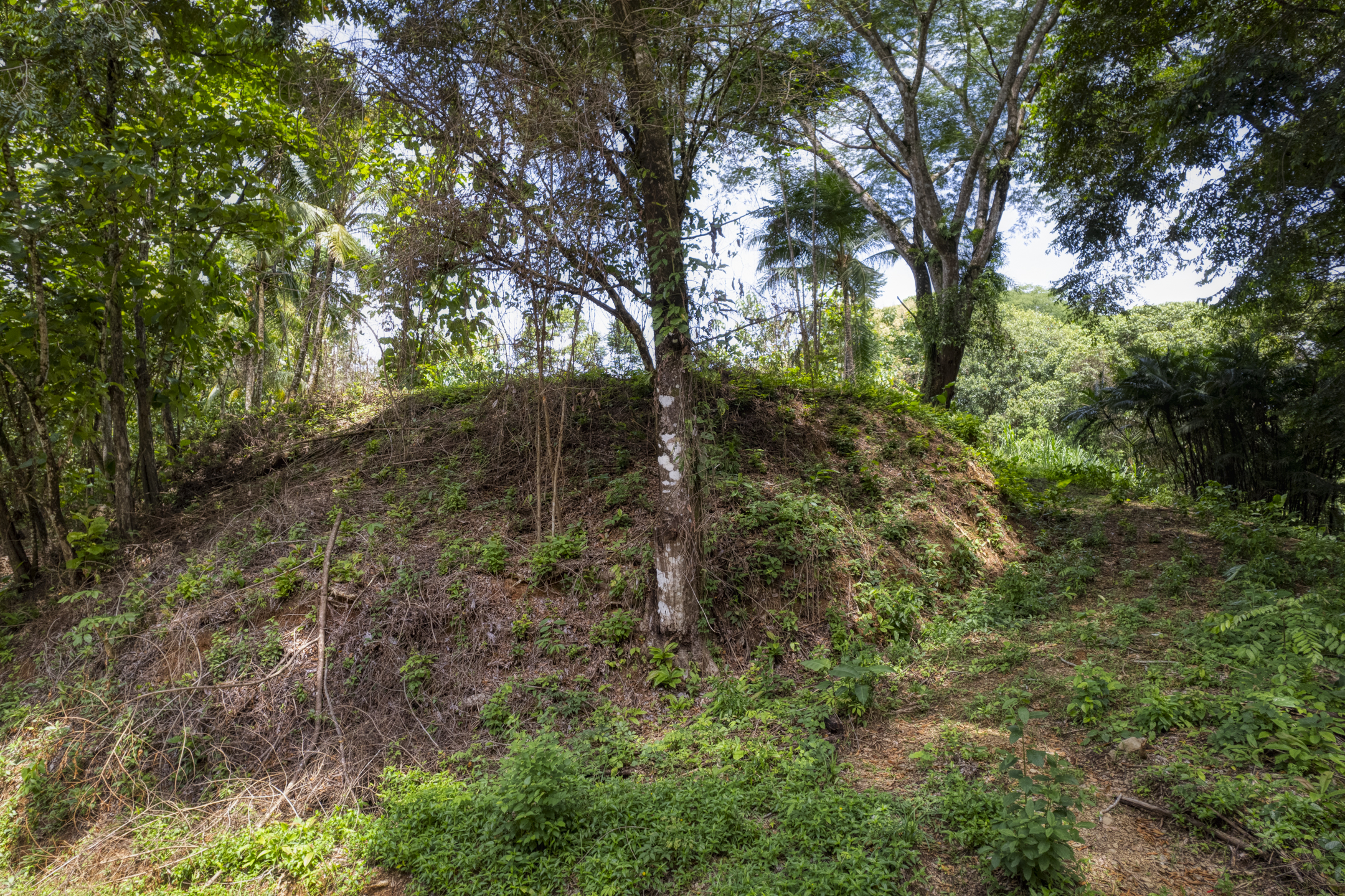 0 bed Land For Sale in Dominical, Puntarenas - thumb 19