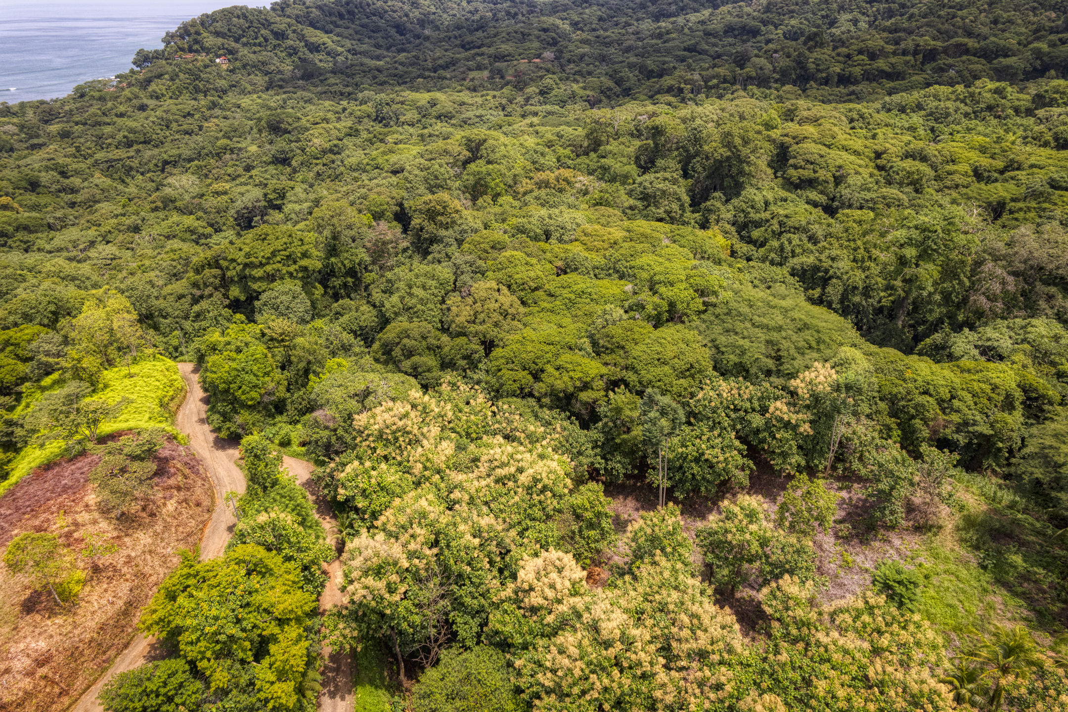 0 bed Land For Sale in Dominical, Puntarenas - thumb 17