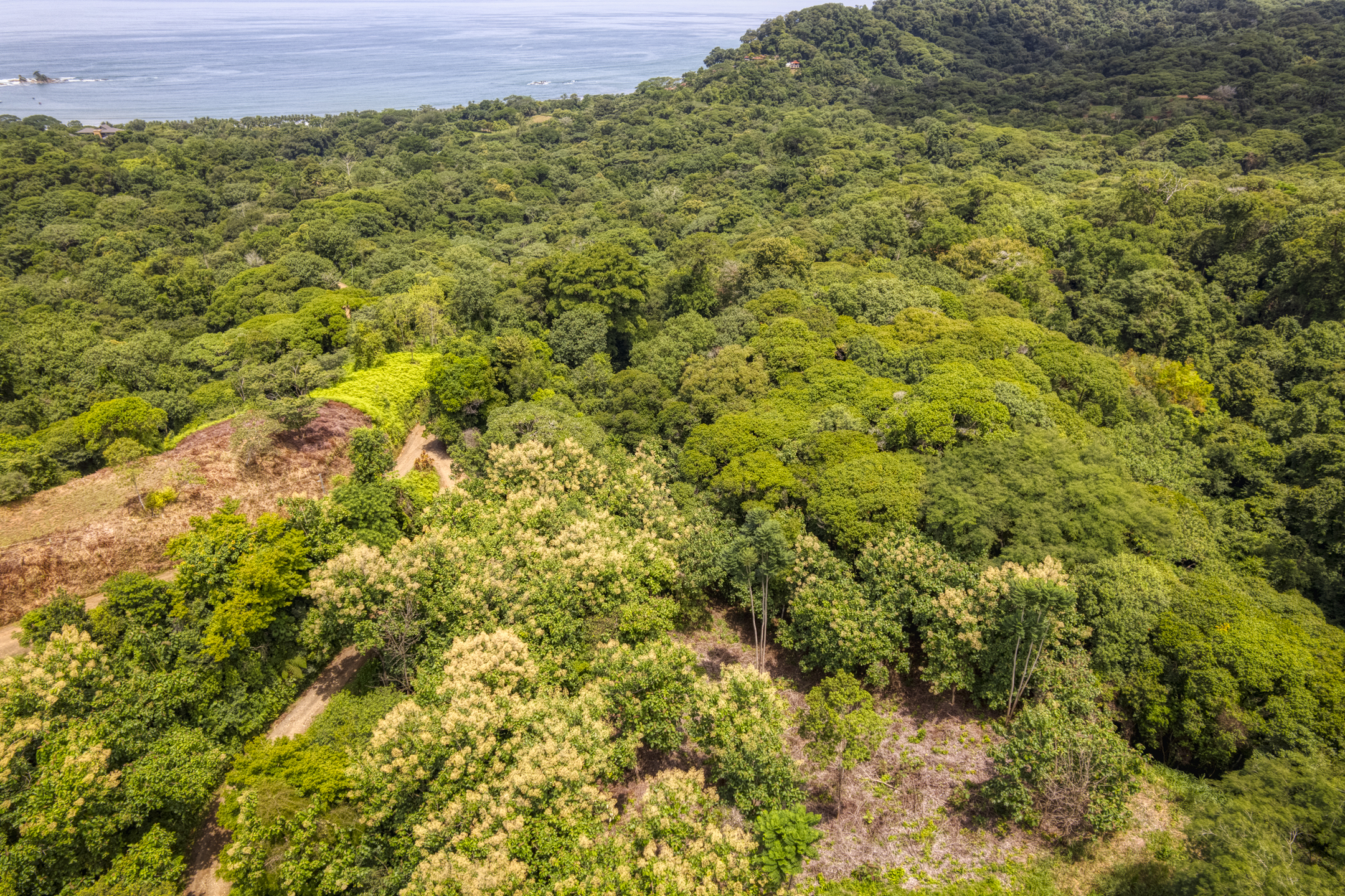 0 bed Land For Sale in Dominical, Puntarenas - thumb 16