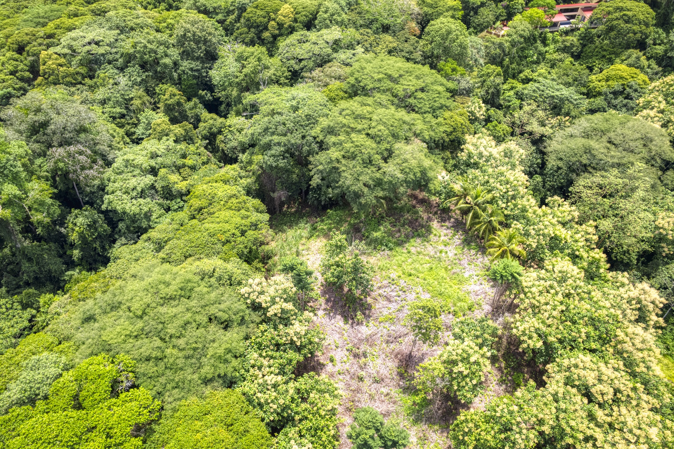 0 bed Land For Sale in Dominical, Puntarenas - thumb 18