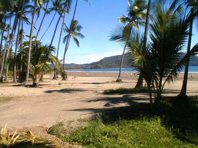 6 bed Hotel / Leisure For Sale in Tambor, Puntarenas - thumb 6