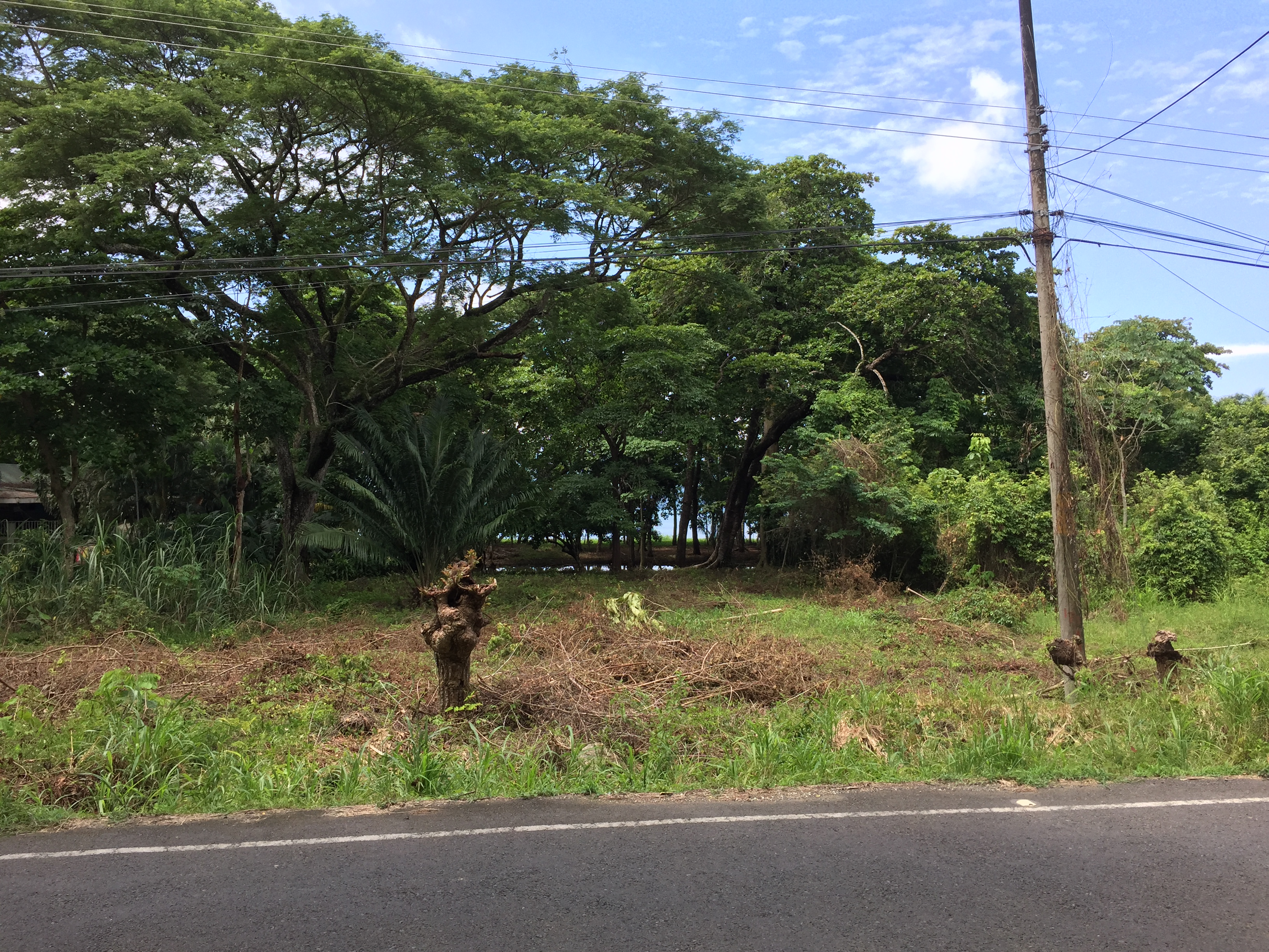 0 bed Land For Sale in Tambor, Puntarenas - thumb 8