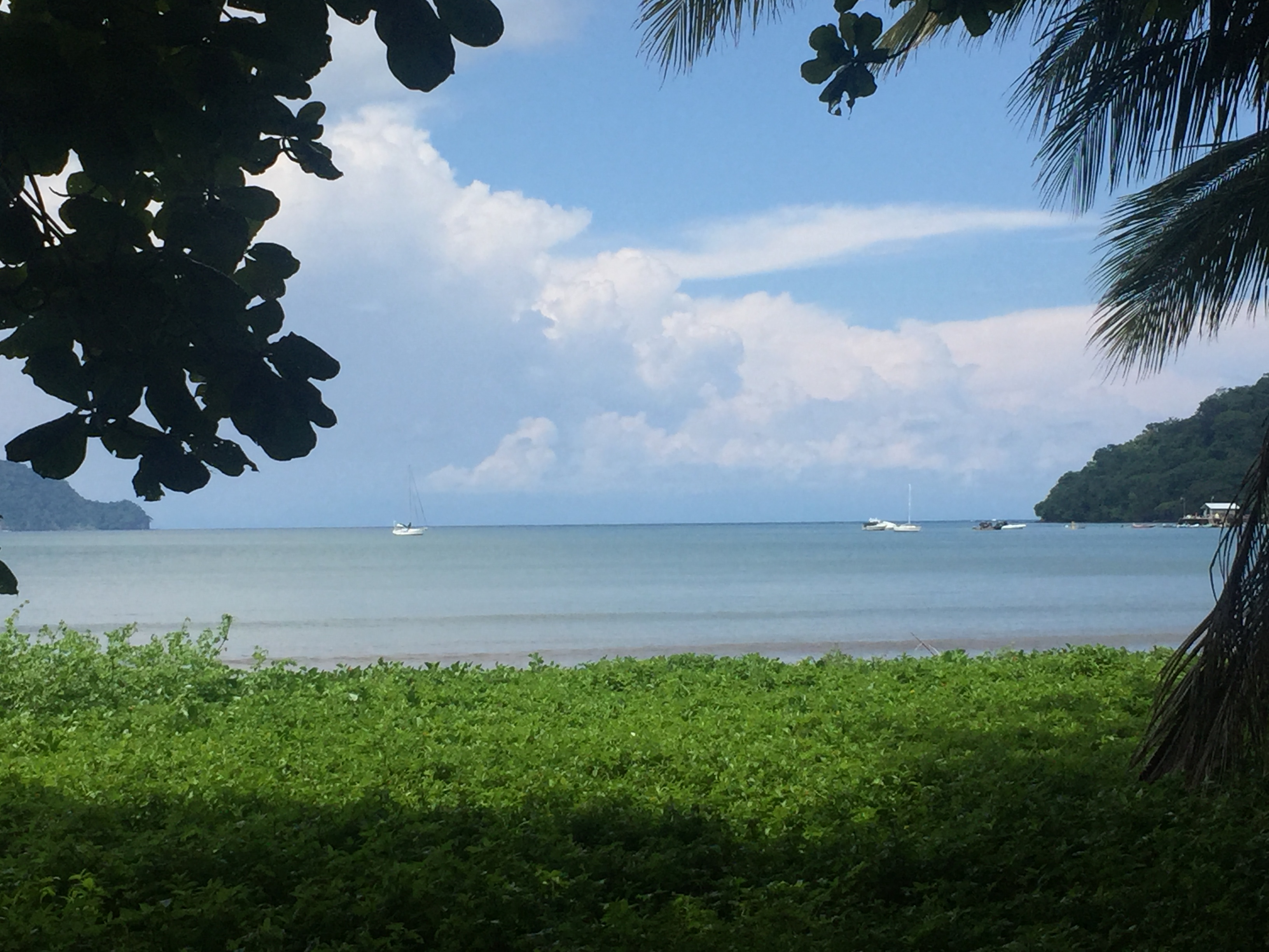 0 bed Land For Sale in Tambor, Puntarenas - thumb 7