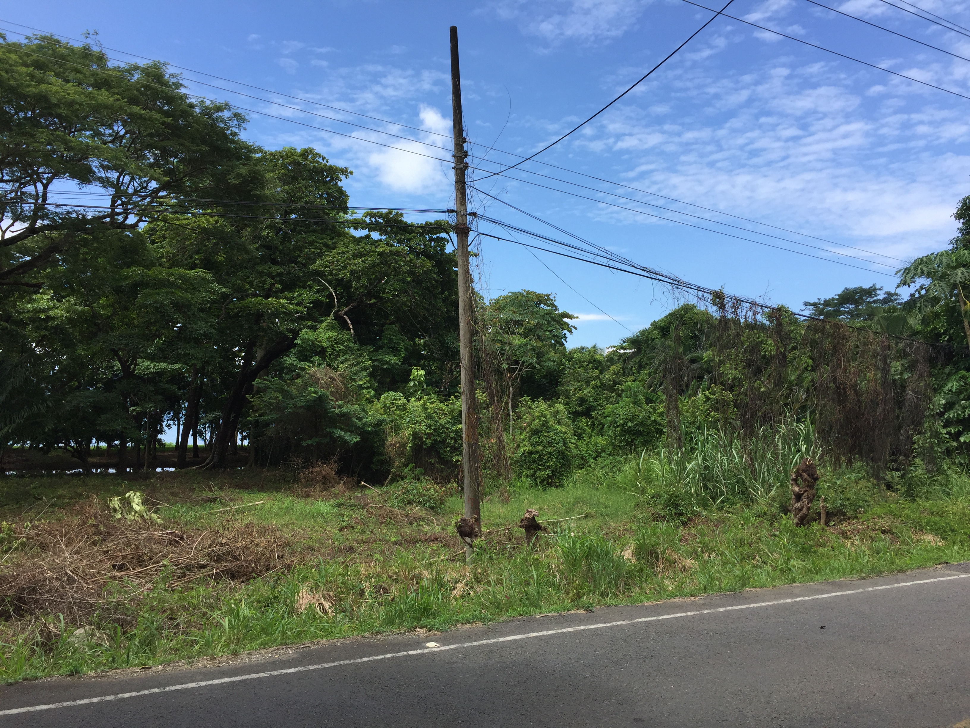 0 bed Land For Sale in Tambor, Puntarenas - thumb 5