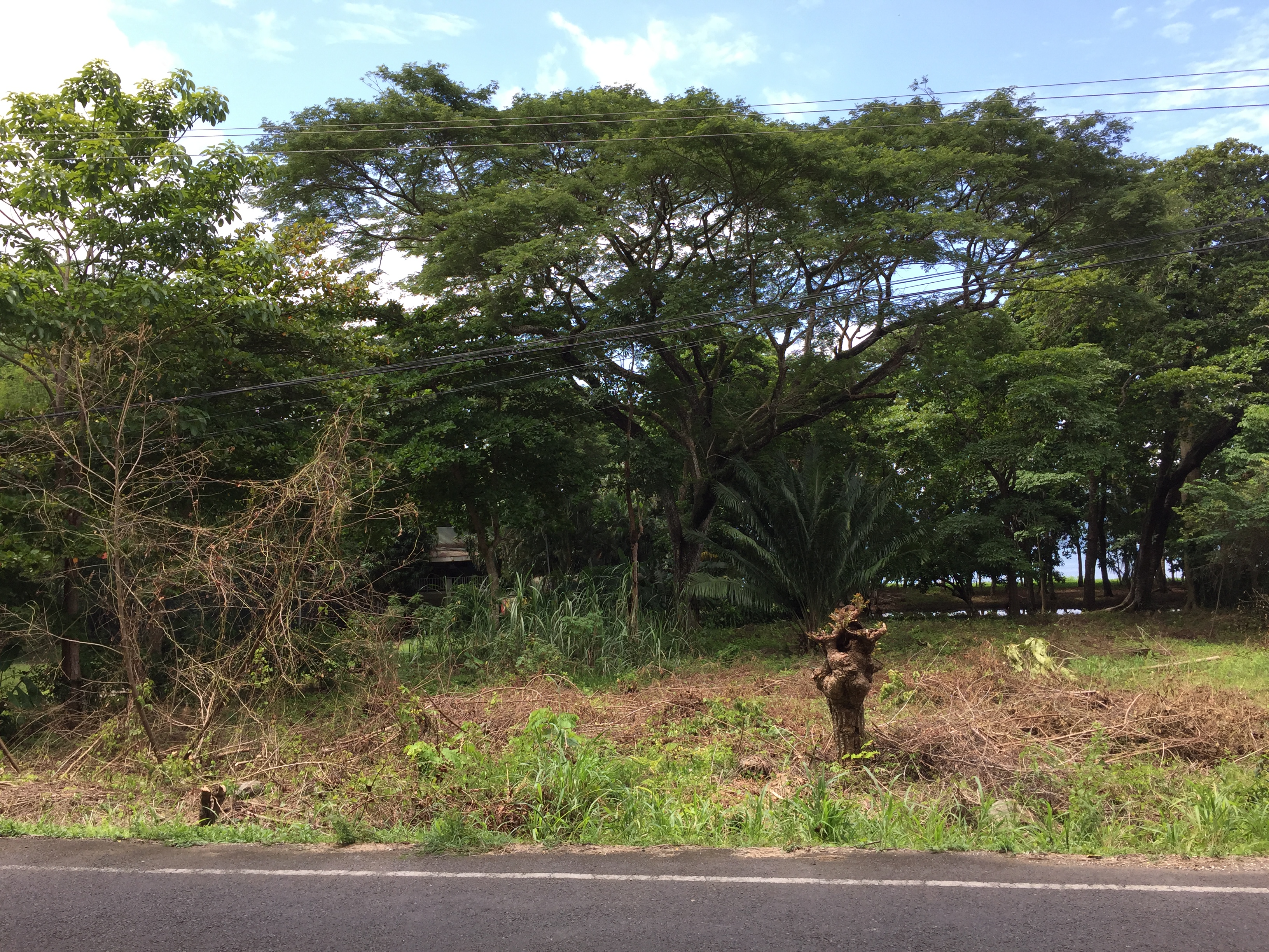 0 bed Land For Sale in Tambor, Puntarenas - thumb 1