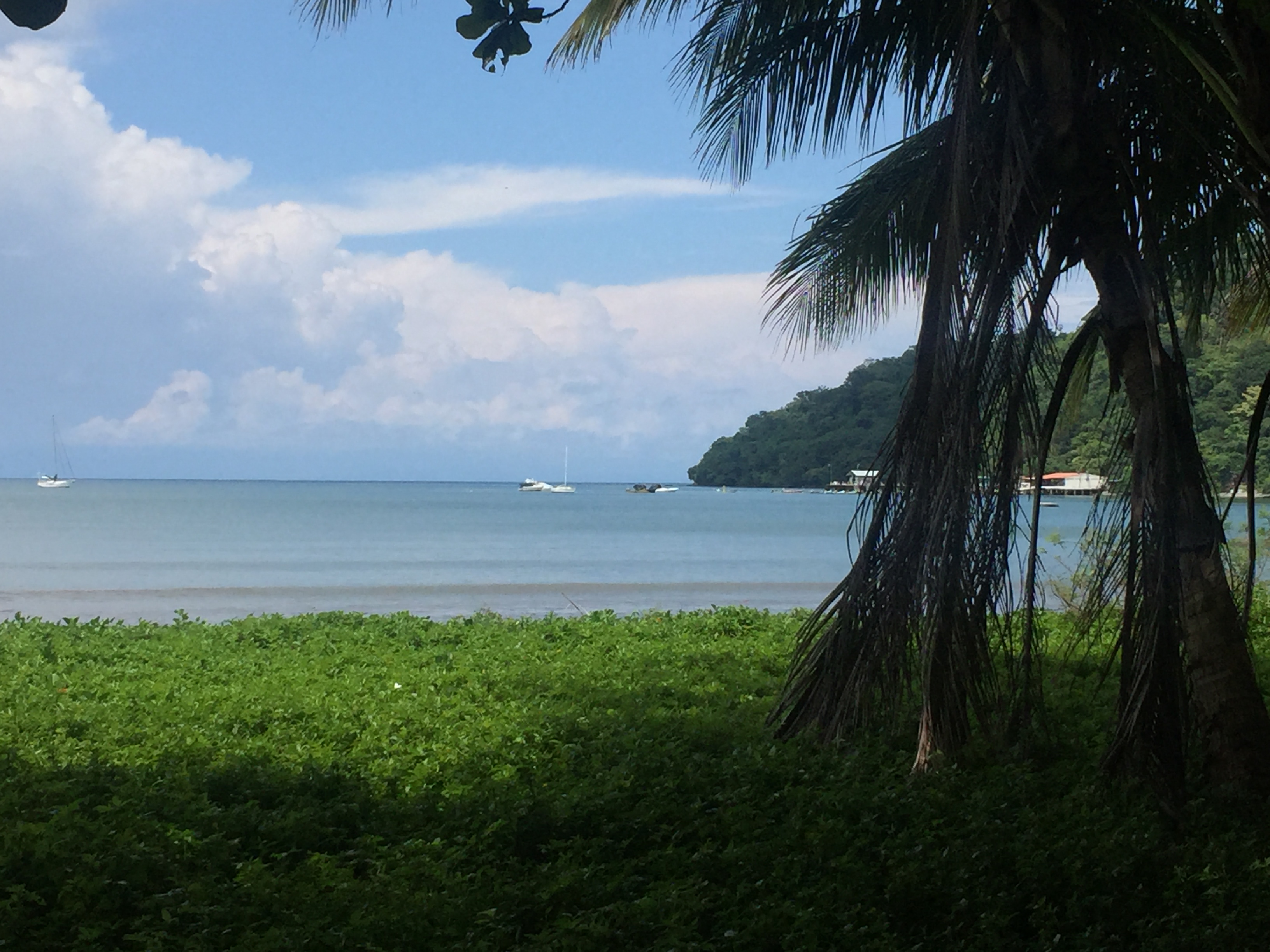 0 bed Land For Sale in Tambor, Puntarenas - thumb 6