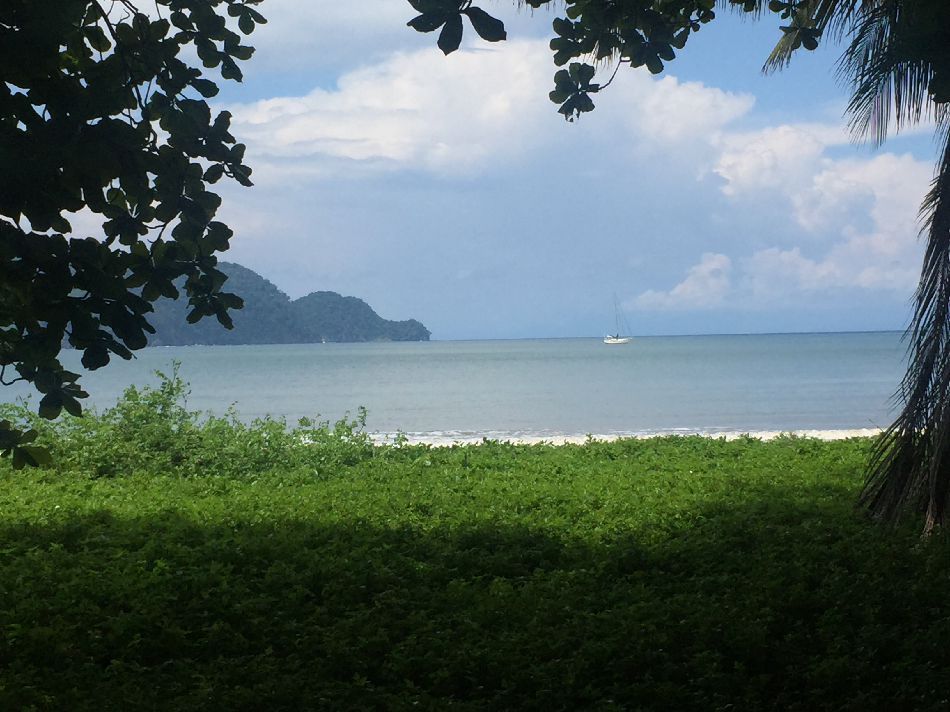 0 bed Land For Sale in Tambor, Puntarenas - thumb 4