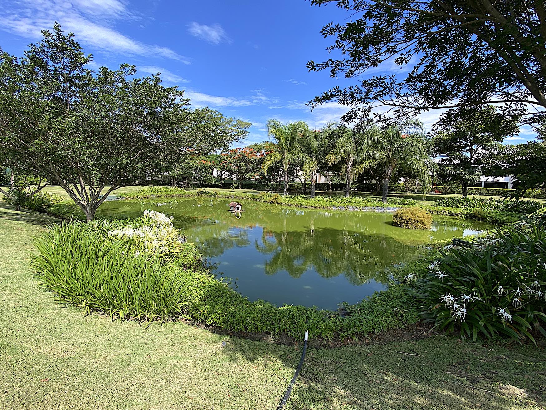 0 bed Land For Sale in Santa Ana, San Jose - thumb 14