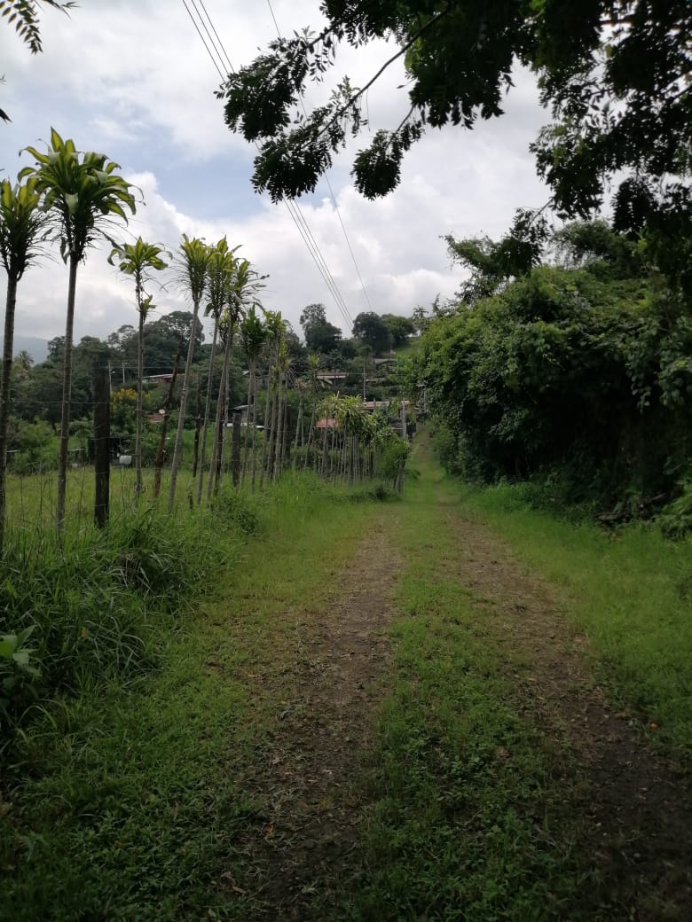 0 bed Land For Sale in Atenas, Alajuela - thumb 17