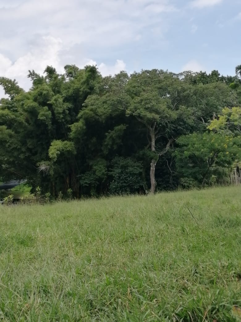 0 bed Land For Sale in Atenas, Alajuela - thumb 16