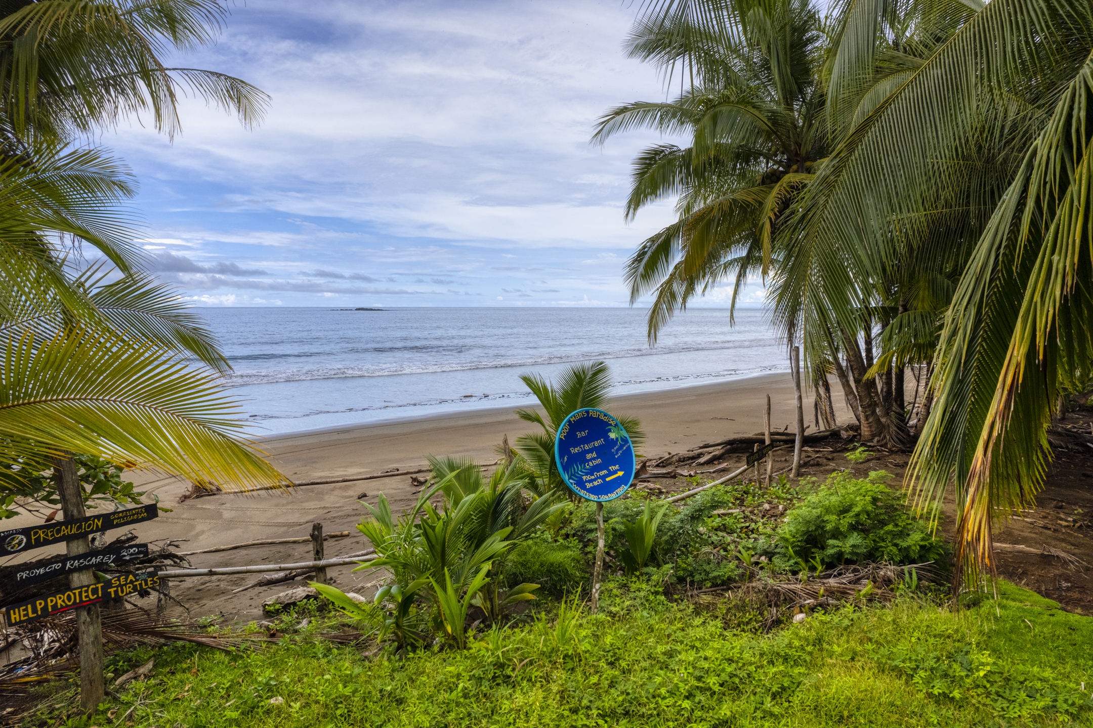 0 bed Land For Sale in Drake Bay, Puntarenas - thumb 12