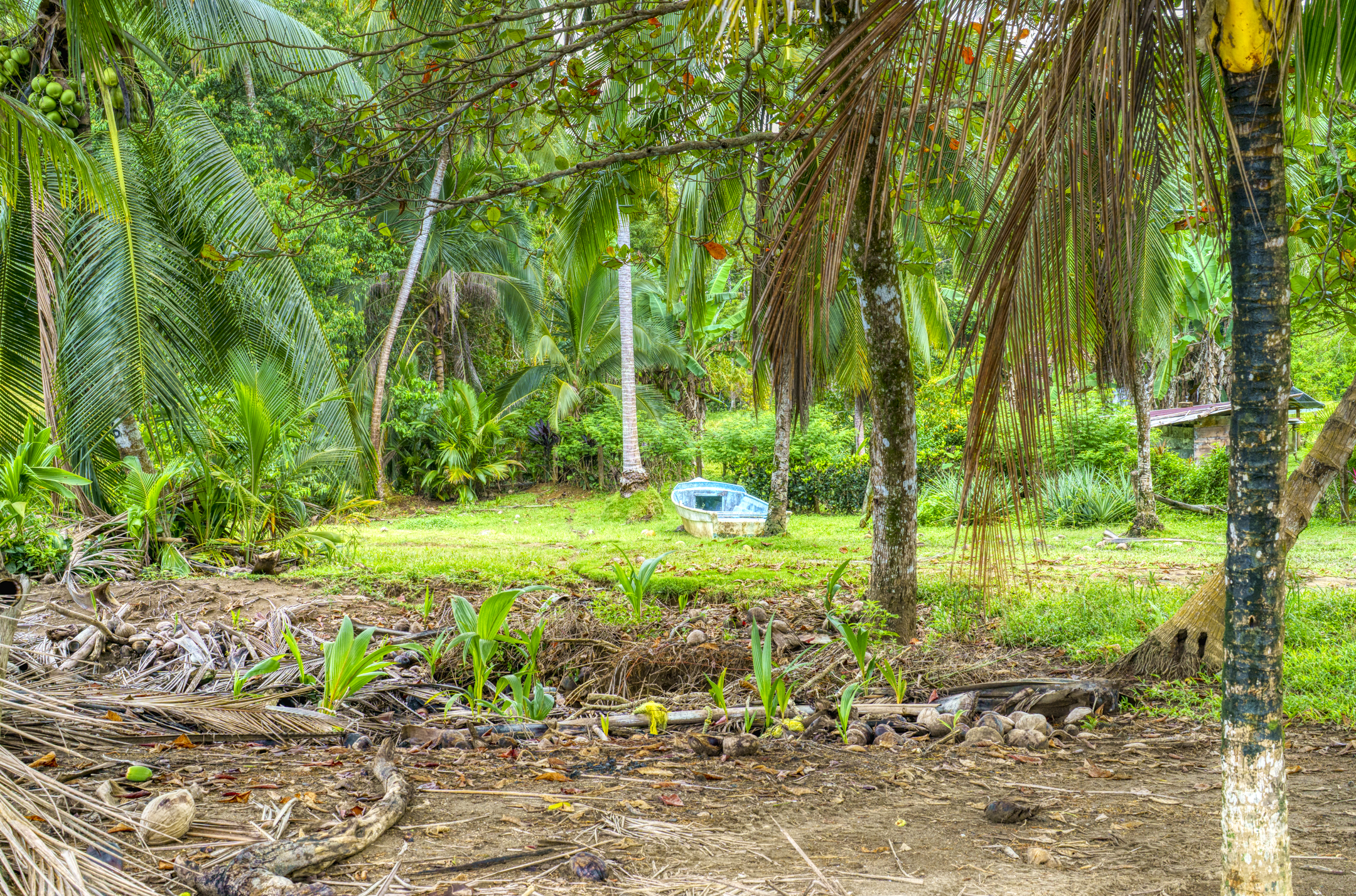 0 bed Land For Sale in Drake Bay, Puntarenas - thumb 19