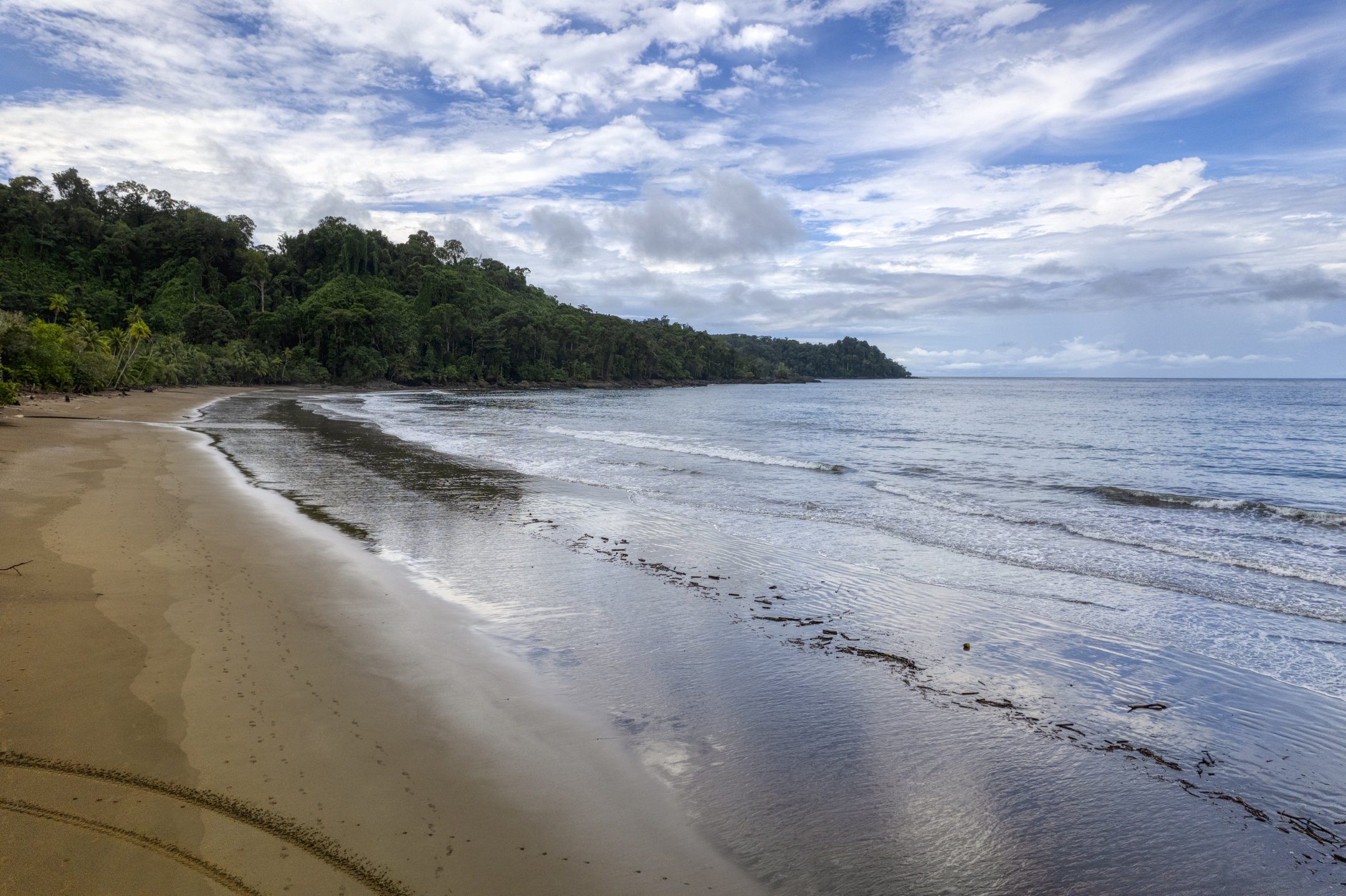 0 bed Land For Sale in Drake Bay, Puntarenas - thumb 14