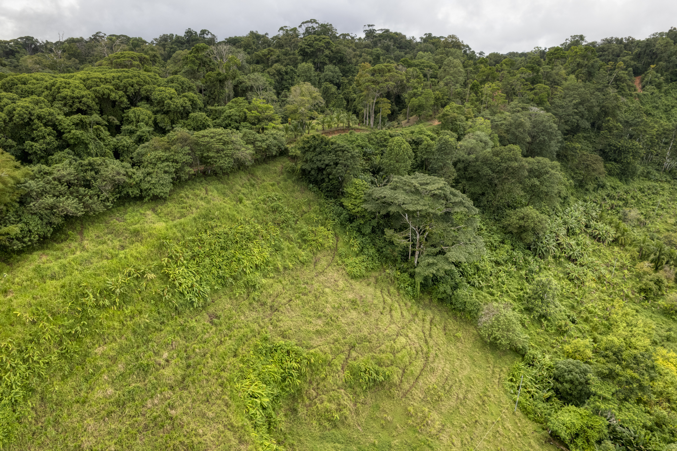 0 bed Land For Sale in Drake Bay, Puntarenas - thumb 24