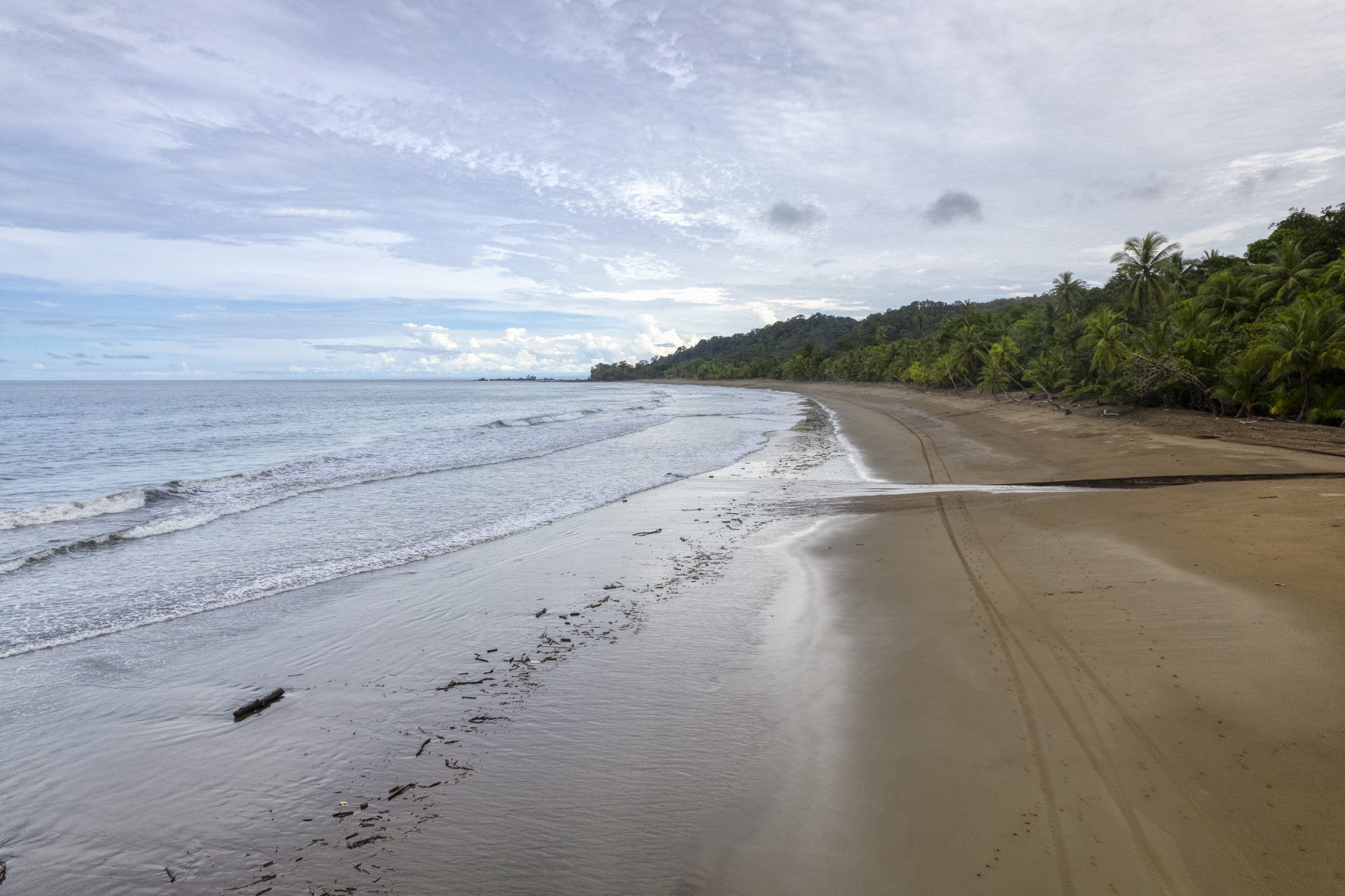 0 bed Land For Sale in Drake Bay, Puntarenas - thumb 13