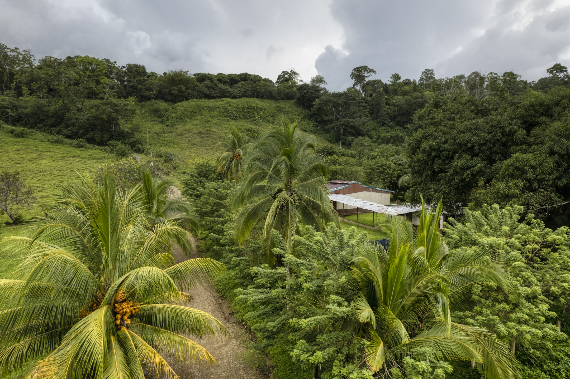 0 bed Land For Sale in Drake Bay, Puntarenas - thumb 11