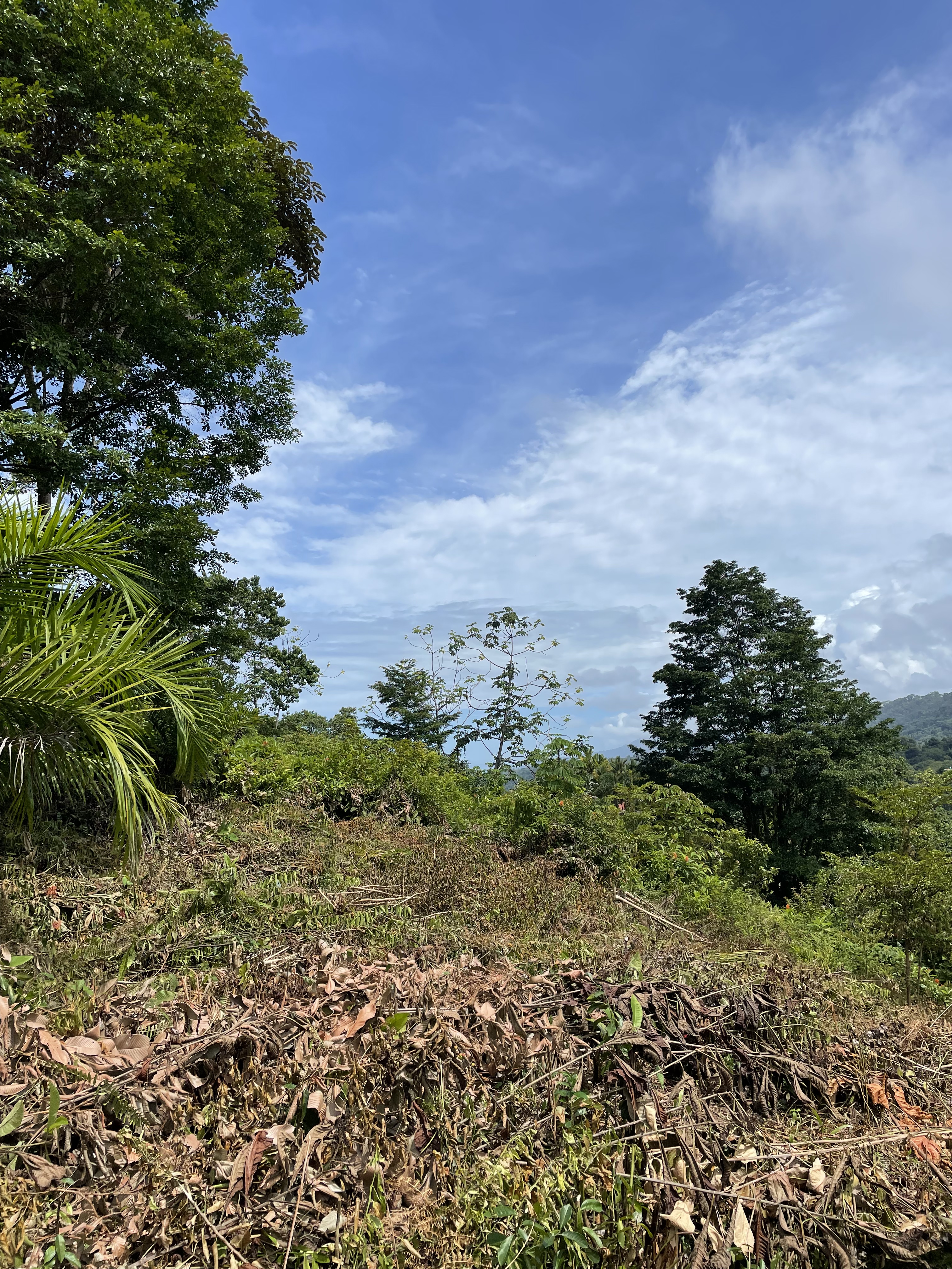 0 bed Land For Sale in Ojochal, Puntarenas - thumb 1