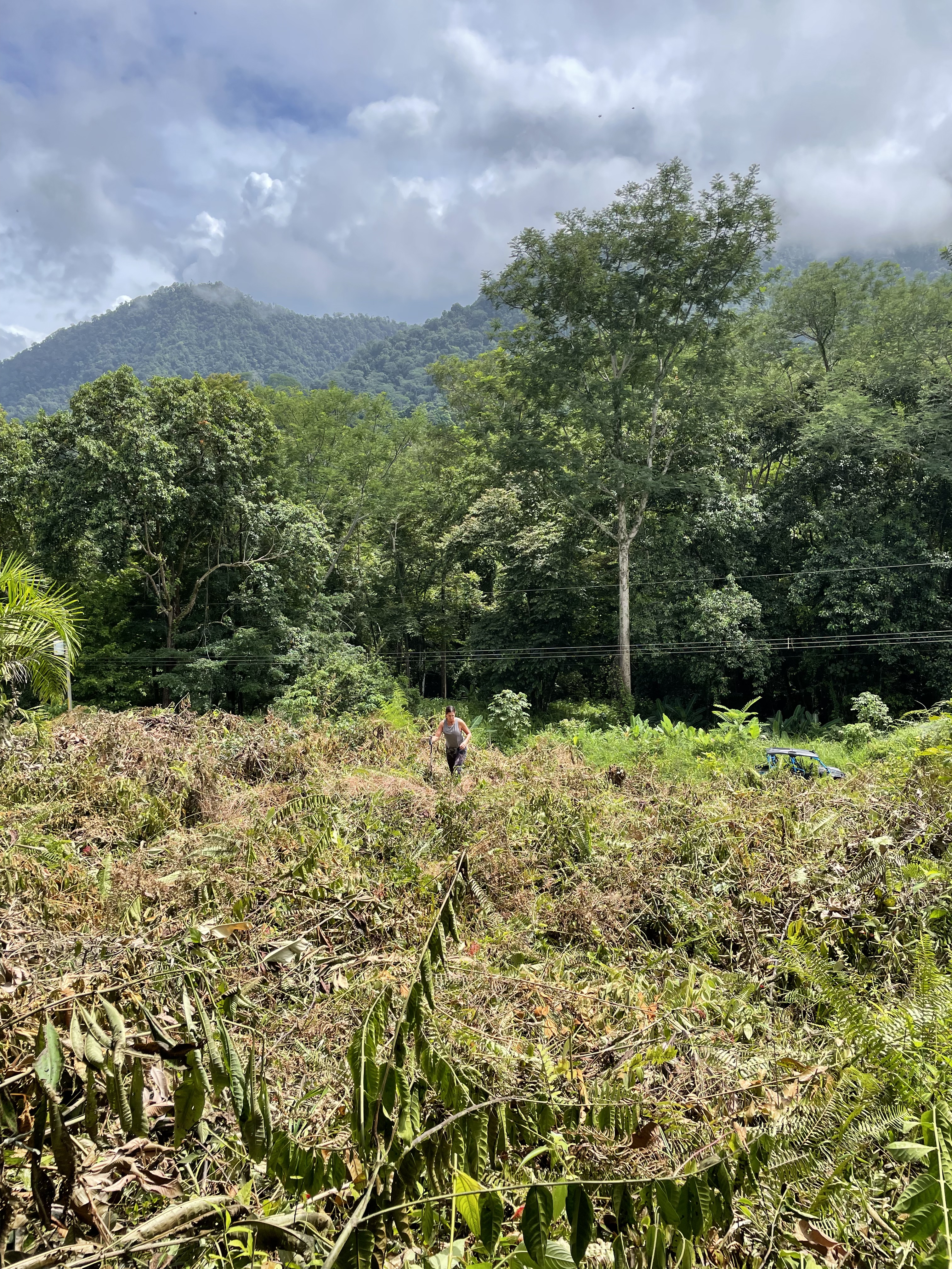 0 bed Land For Sale in Ojochal, Puntarenas - thumb 8