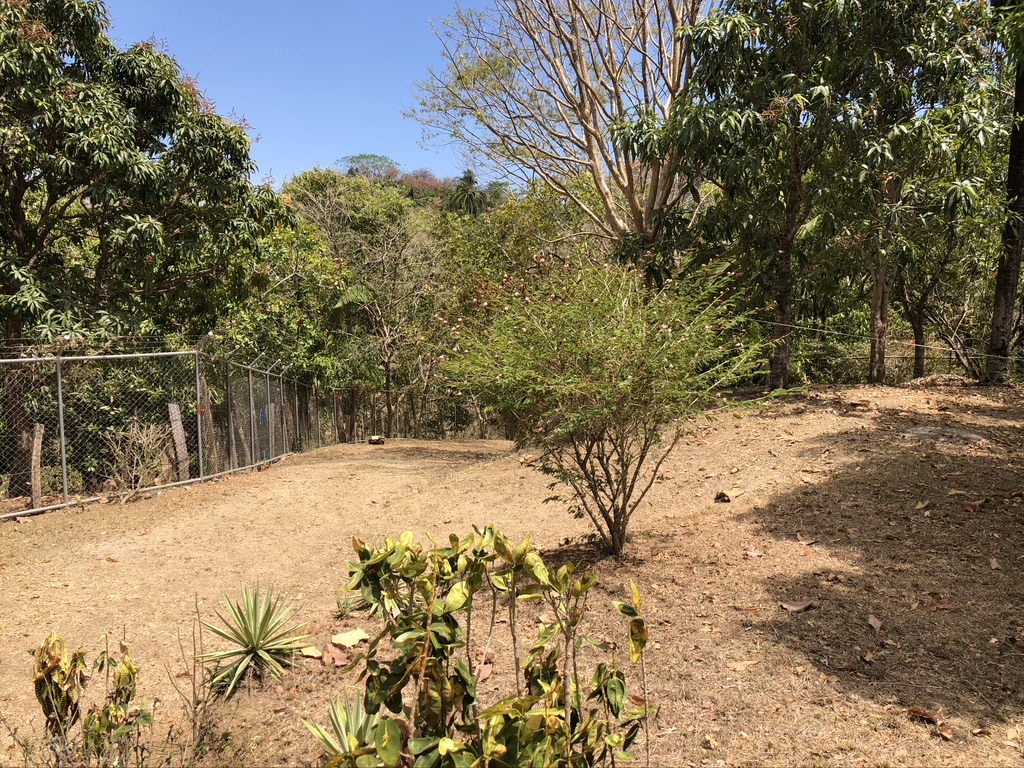 3 bed Single Family Homes For Sale in Samara, Guanacaste - thumb 23